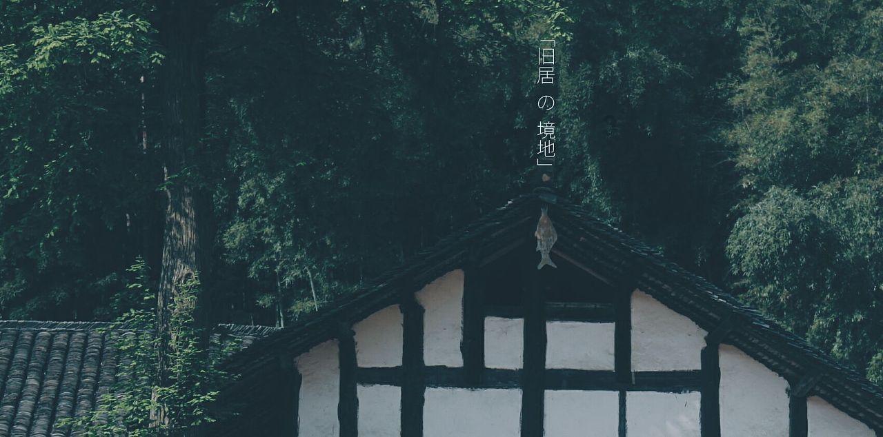 了解春节期间是诈骗的高峰期,你都见过哪些诈骗方式?,参与知识星球,拓展您的学习圈子!